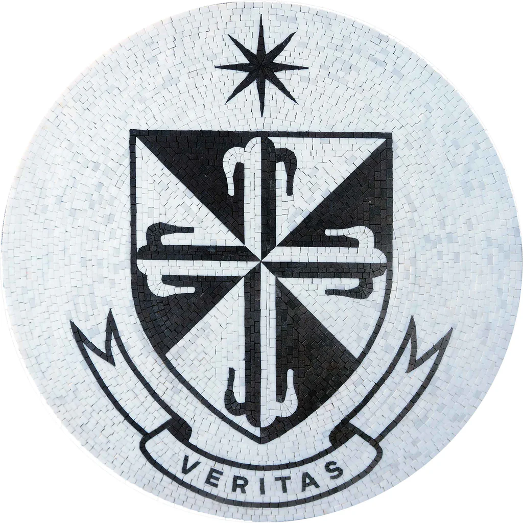 Veritas logo